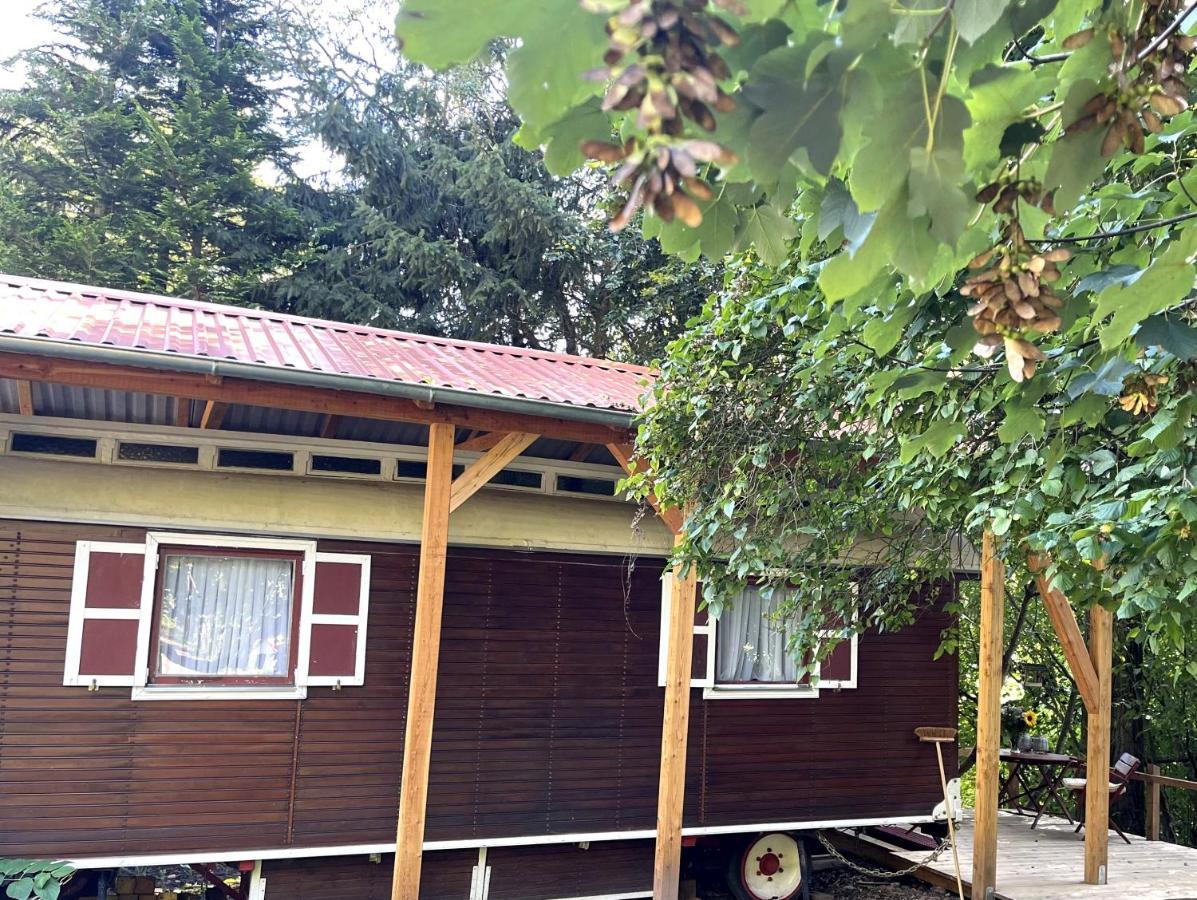 Historischer Zirkuswagen Mit Terrasse Und Blick Ins Gruene Witzenhausen Ngoại thất bức ảnh