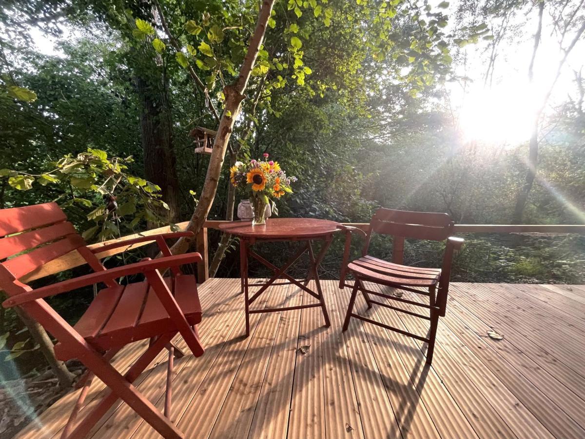 Historischer Zirkuswagen Mit Terrasse Und Blick Ins Gruene Witzenhausen Ngoại thất bức ảnh